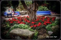 /album/fotogaleria-girona/anna-temps-de-flors-2016-260-inpixio-640x480-jpg/